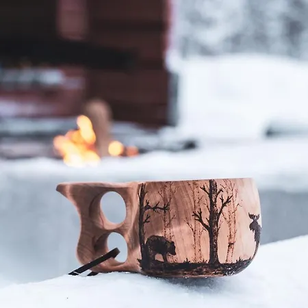 Holiday In Lapland - Levisalmi B *